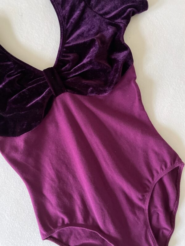 Dansgirl leotard - Image 3