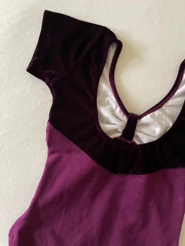 Dansgirl leotard - Image 6