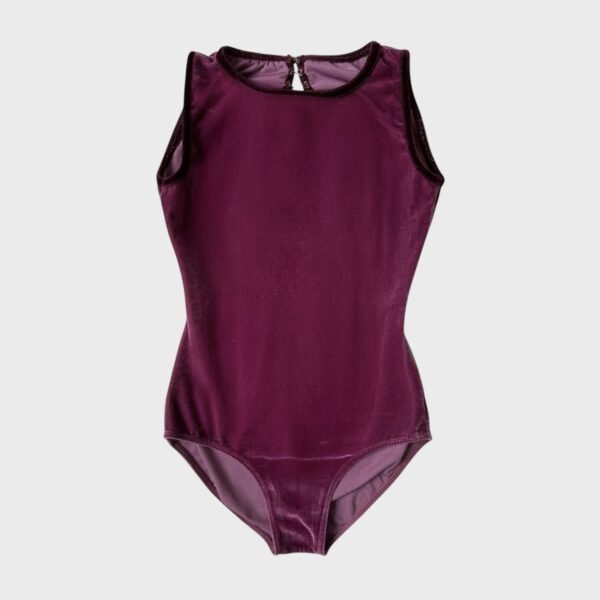 Velvet leotard