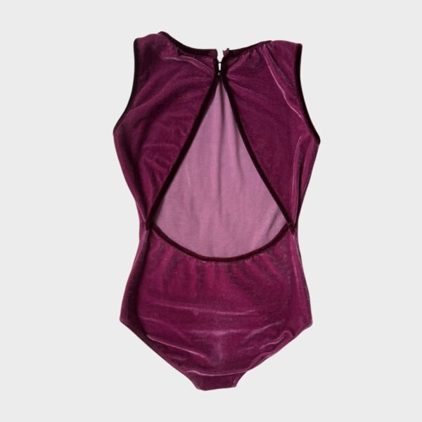Velvet leotard - Image 2